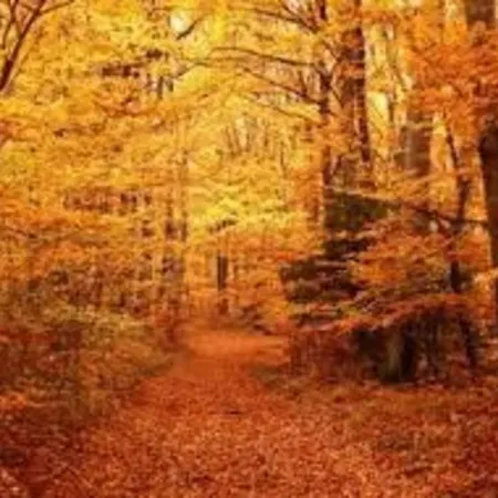 Champeix, Maison Confort 6 Personnes Dom wakacyjny