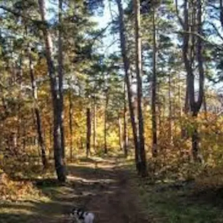 Champeix, Maison Confort 6 Personnes Dom wakacyjny